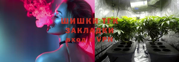 крисы Аркадак