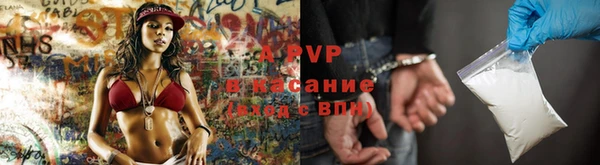сатива Арсеньев