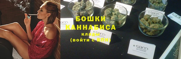 сатива Арсеньев