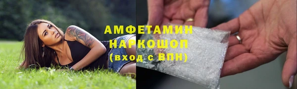 крисы Аркадак