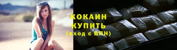 сатива Арсеньев