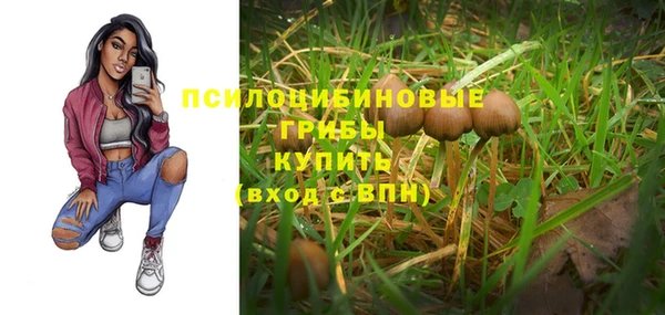 крисы Аркадак